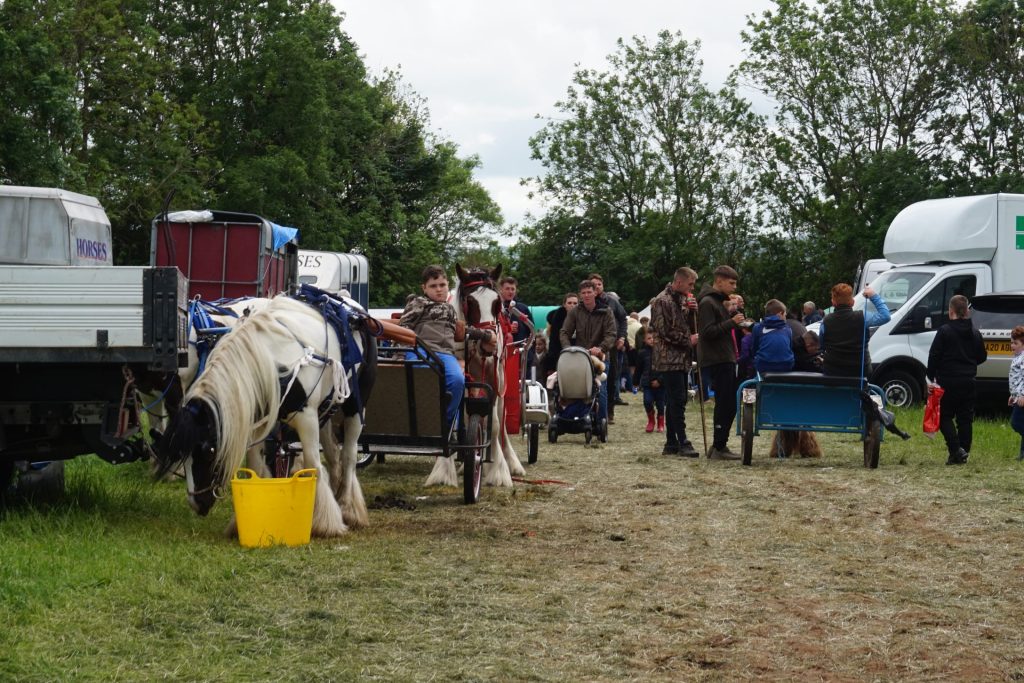 “Proud of who we are”: All the ways our Projects celebrated Gypsy, Roma ...